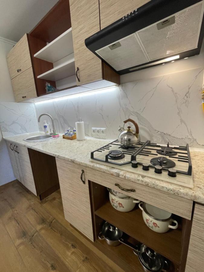У Михайла Bed & Breakfast Truskavets Dış mekan fotoğraf
